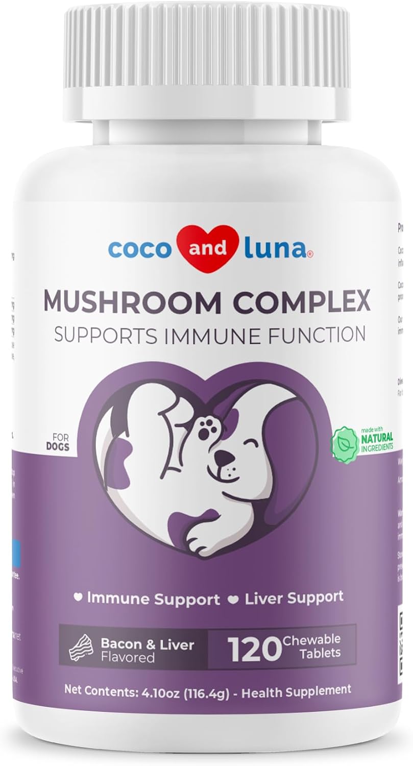 Turkey Tail Mushroom for Dogs Soft Chews - Lumps, Bumps & Immune - görsel 8