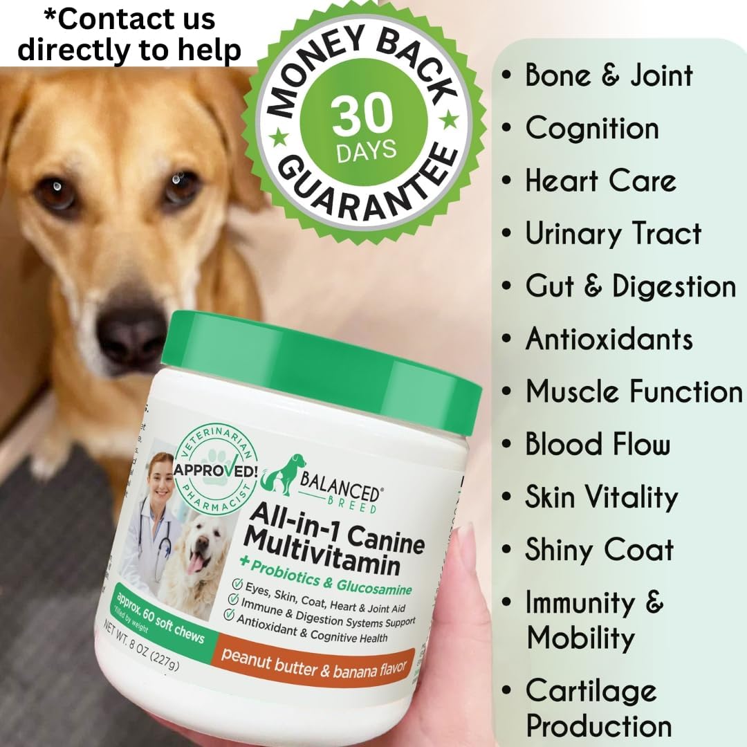 Balanced Breed All-in-1 Dog Multivitamin with Probiotics & Glucosamine - görsel 8