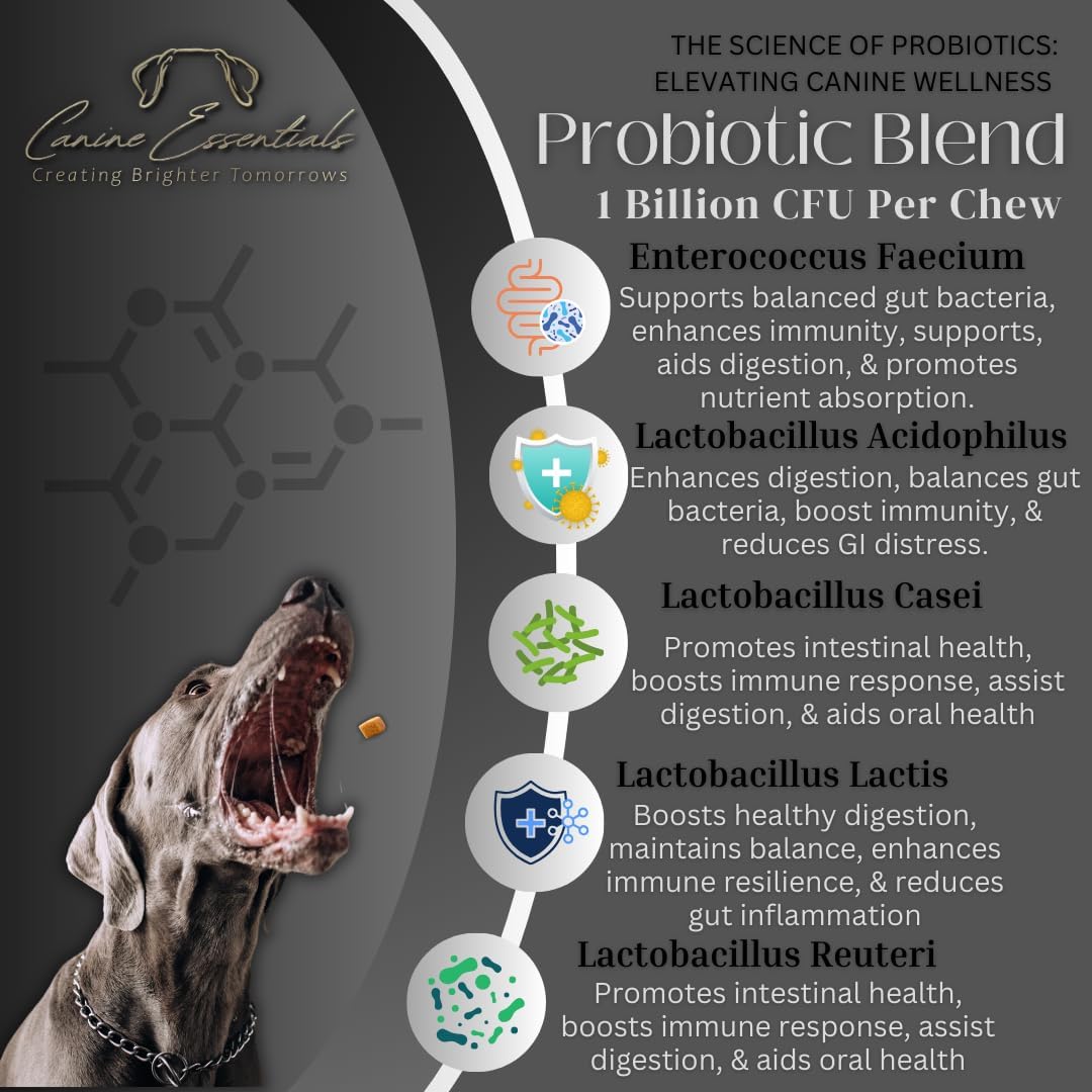 Canine Essentials Probiotics for Dogs – Duck Flavour – 90 Chews (227 g) – Digestive & Immune Support - görsel 5