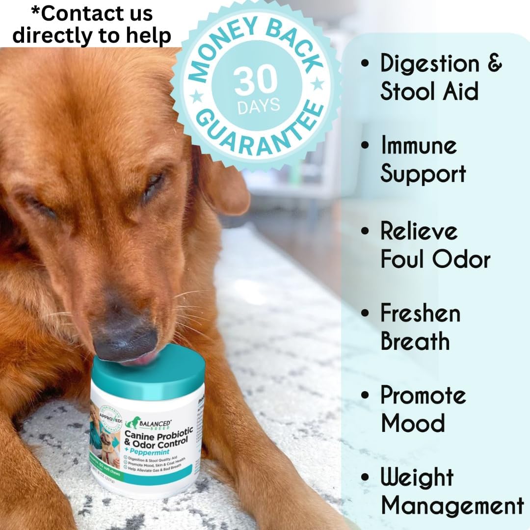 Dog Probiotics with Digestive Enzymes - Itchy Skin, Yeast, Gas, Diarrhoea Support - Made in USA, Non-GMO - görsel 8