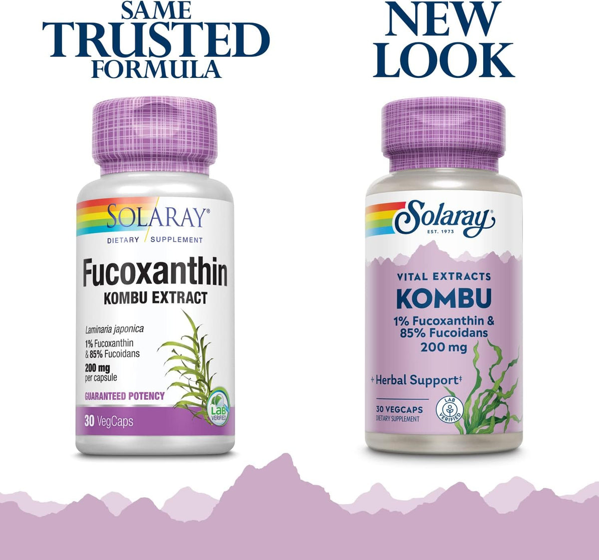 Solaray Fucoxanthin Special Formula - 400 mg Vegetarian Capsules (30 Count) - görsel 2