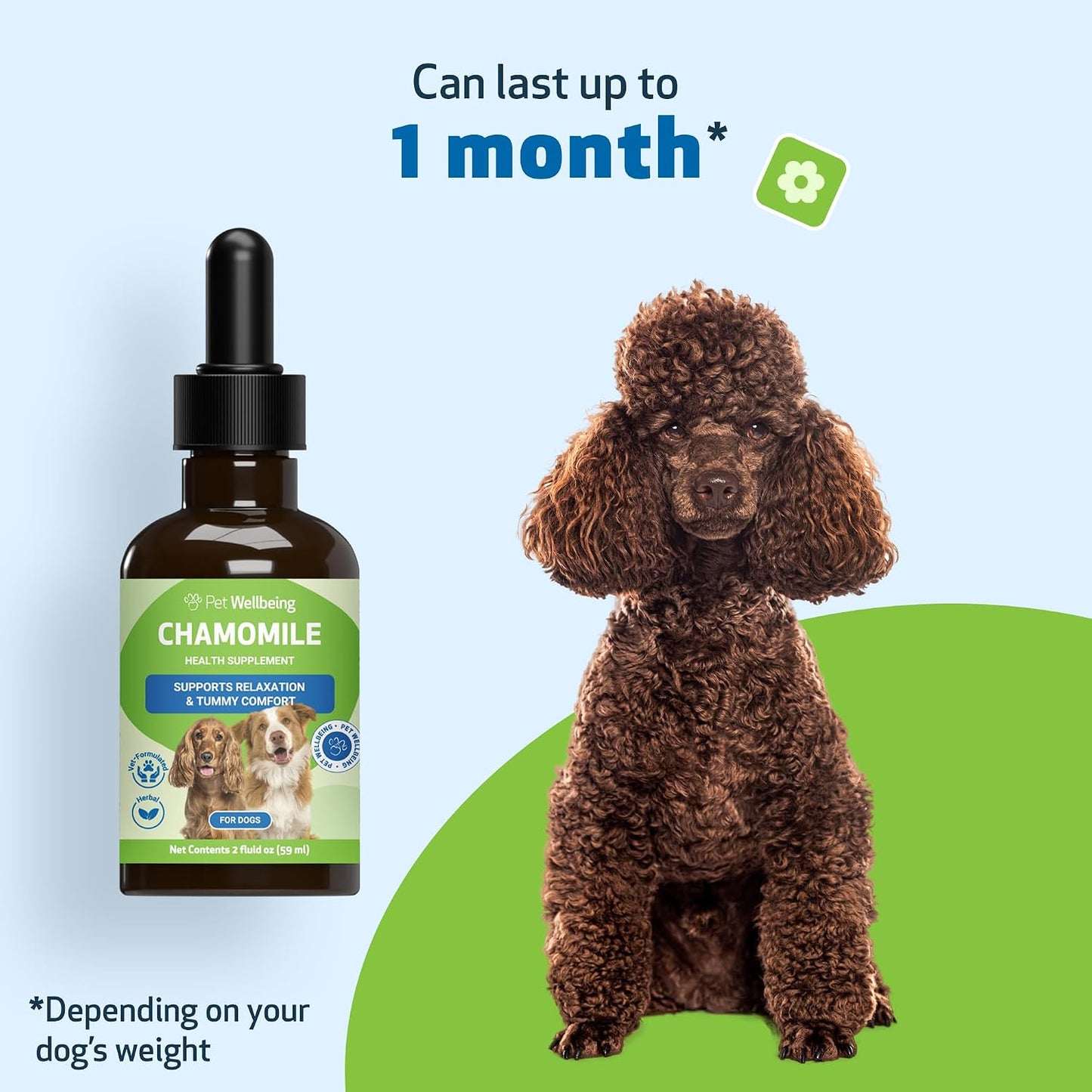Pet Wellbeing Chamomile for Dogs - Organic Single Herb Supplement - Gentle Digestive Support, Holistic Calming - Pure Chamomile Extract - Vet-Formulated Liquid Wellness 2 oz (59ml) - görsel 8