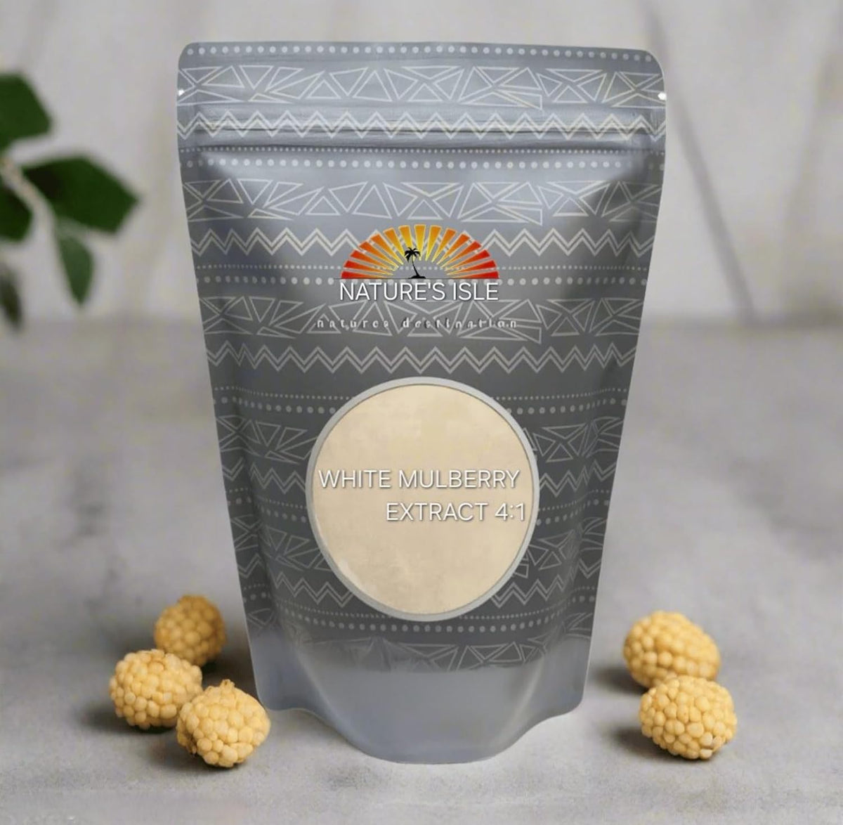 White Mulberry Leaf Extract 4:1 Powder 910 g - görsel 2
