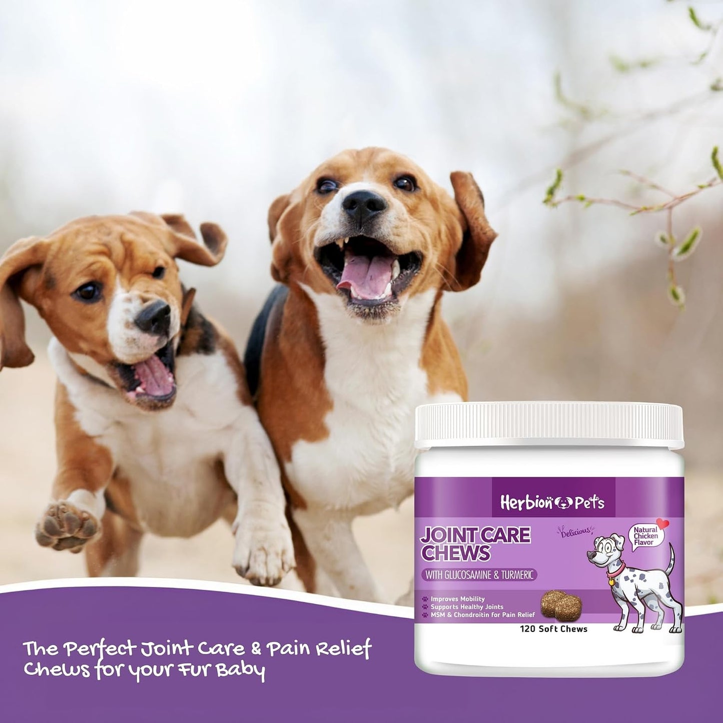 HERBION Pets Joint Care Chews with Glucosamine & Turmeric, 120 Soft Chews - görsel 6