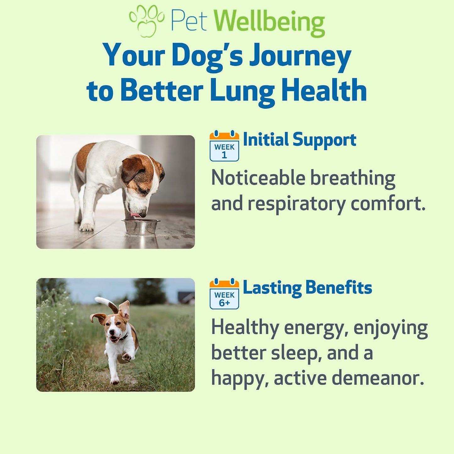 Pet Wellbeing Lung Gold for Dogs & Cats - Vet-Formulated - Lung & Respiratory Immune Support, Open Airways, Easy Breathing - Natural Herbal Supplement 4 oz (18 ml) - görsel 9