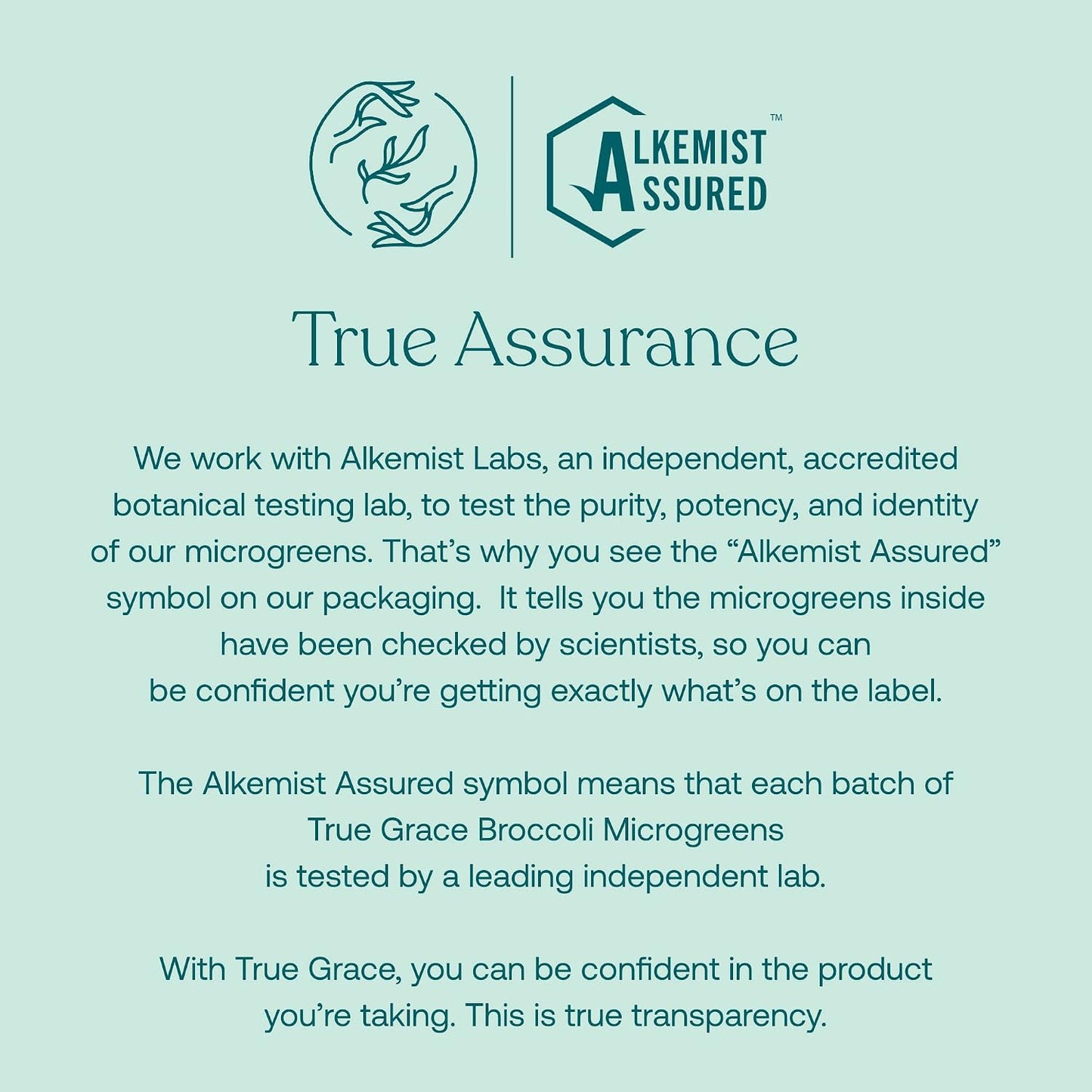 True Grace Broccoli Microgreens - Daily Superfood Powder, Regenerative Organic Certified, 11 g (30 Servings) - görsel 8