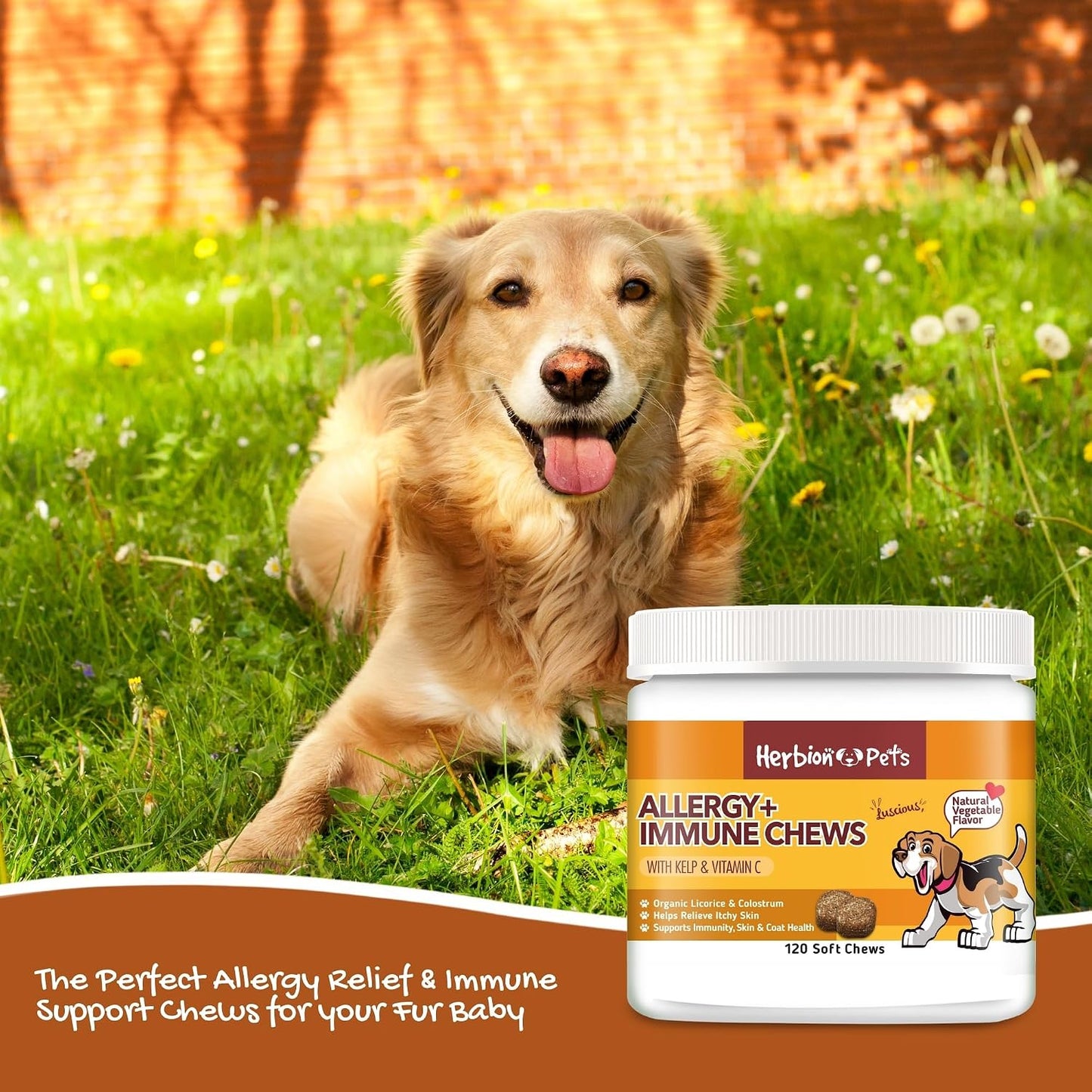 Herbion Pets Allergy + Immune Chews with Kelp & Vitamin C, 120 Soft Chews - görsel 6