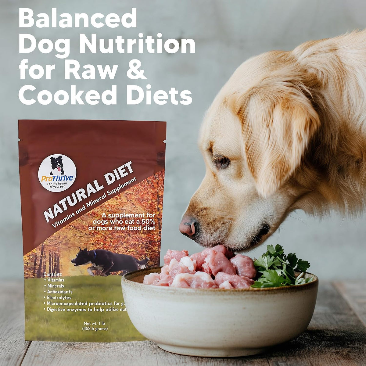 Animal Health Solutions Formulated Canine Natural Diet Vitamins Supplement 454 g - görsel 8