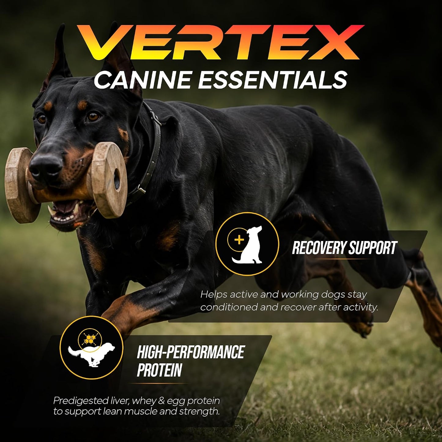 Vertex Canine Essentials High-Performance Dog Supplement – Predigested Liver, Whey & Egg Protein – 1.8 kg - görsel 2