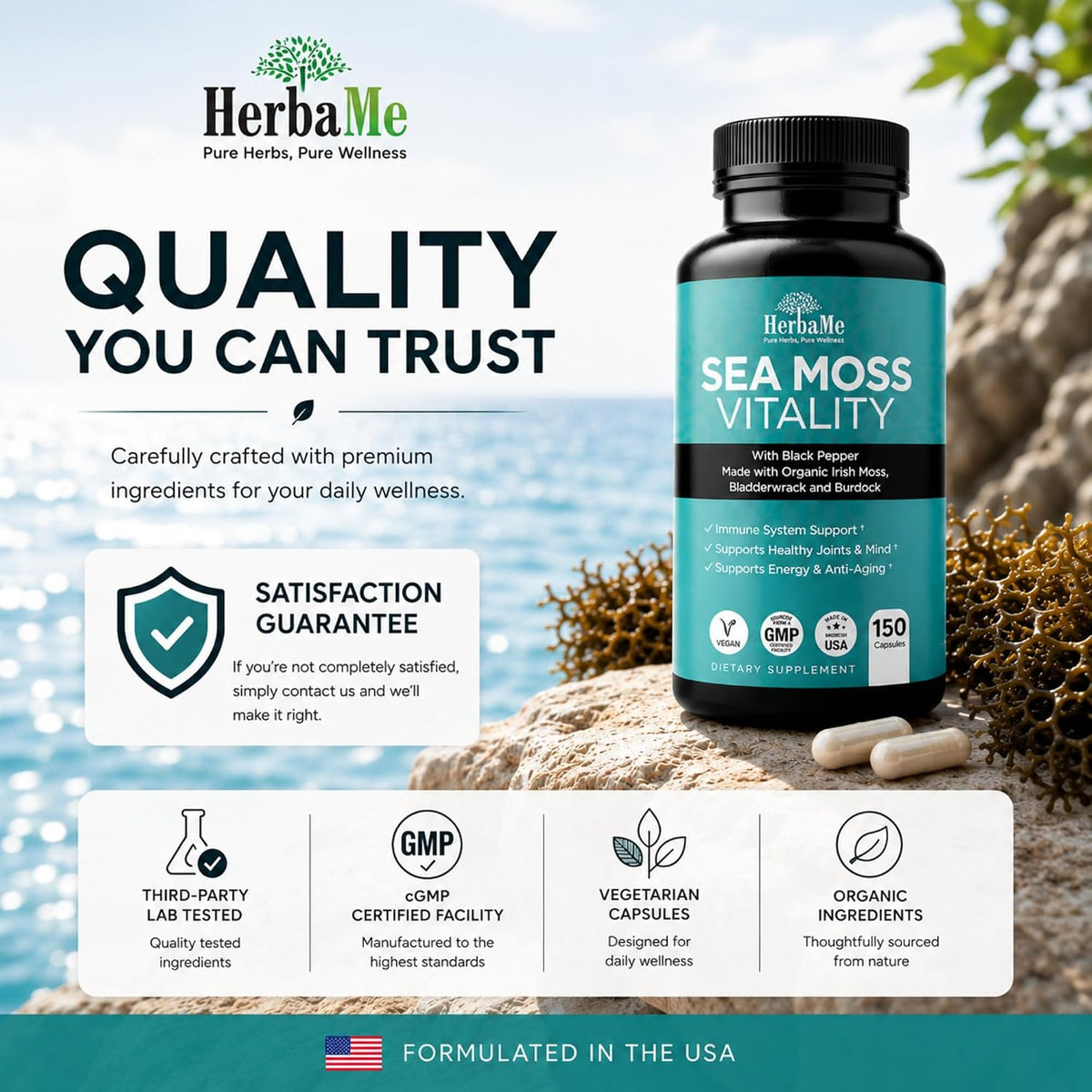 Organic Sea Moss Supplement with Bladderwrack & Burdock Root – Irish Moss with Black Pepper Extract, Daily Mineral Support for Energy & Wellness, 150 Capsules - görsel 9