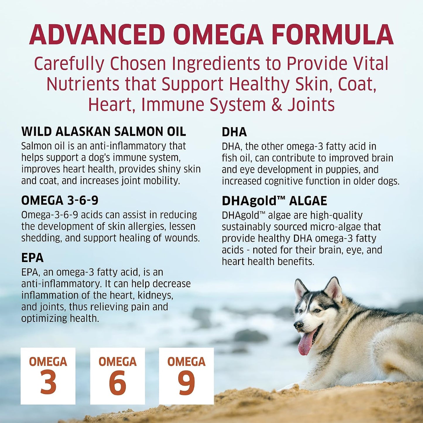 Wild Alaskan Salmon Oil Soft Chews for Dogs - Omega-3 Supplement (120 Chews) - görsel 6