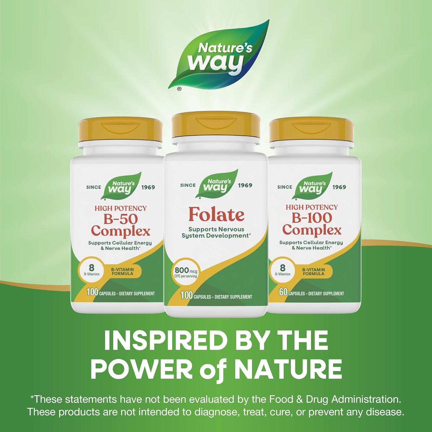 Nature's Way Folic Acid, 800 mcg DFE per serving, 100 Capsules - görsel 8