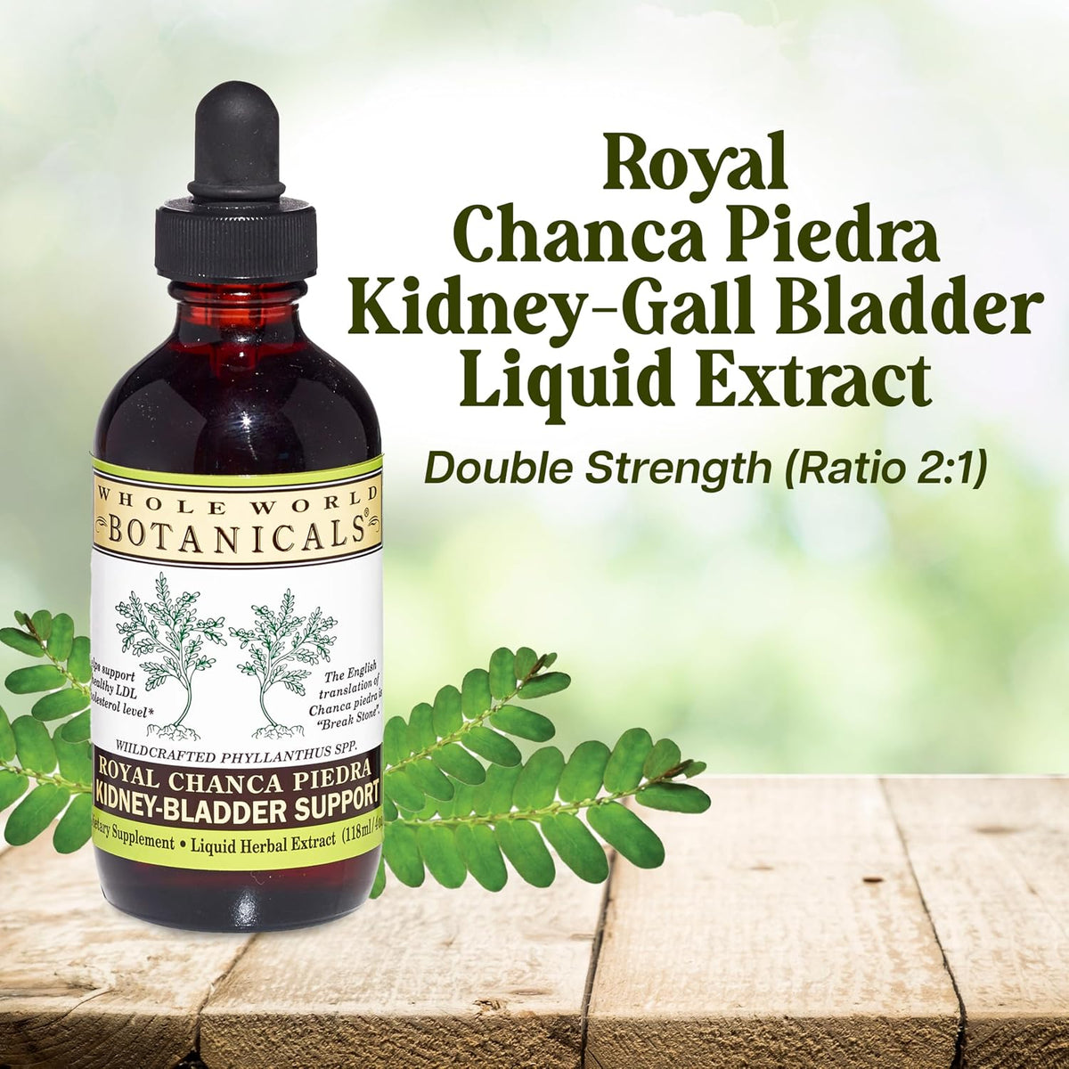 Whole World Botanicals Royal Chanca Piedra – Kidney & Bladder Support – Liquid Extract 4 oz (118 ml) - görsel 8