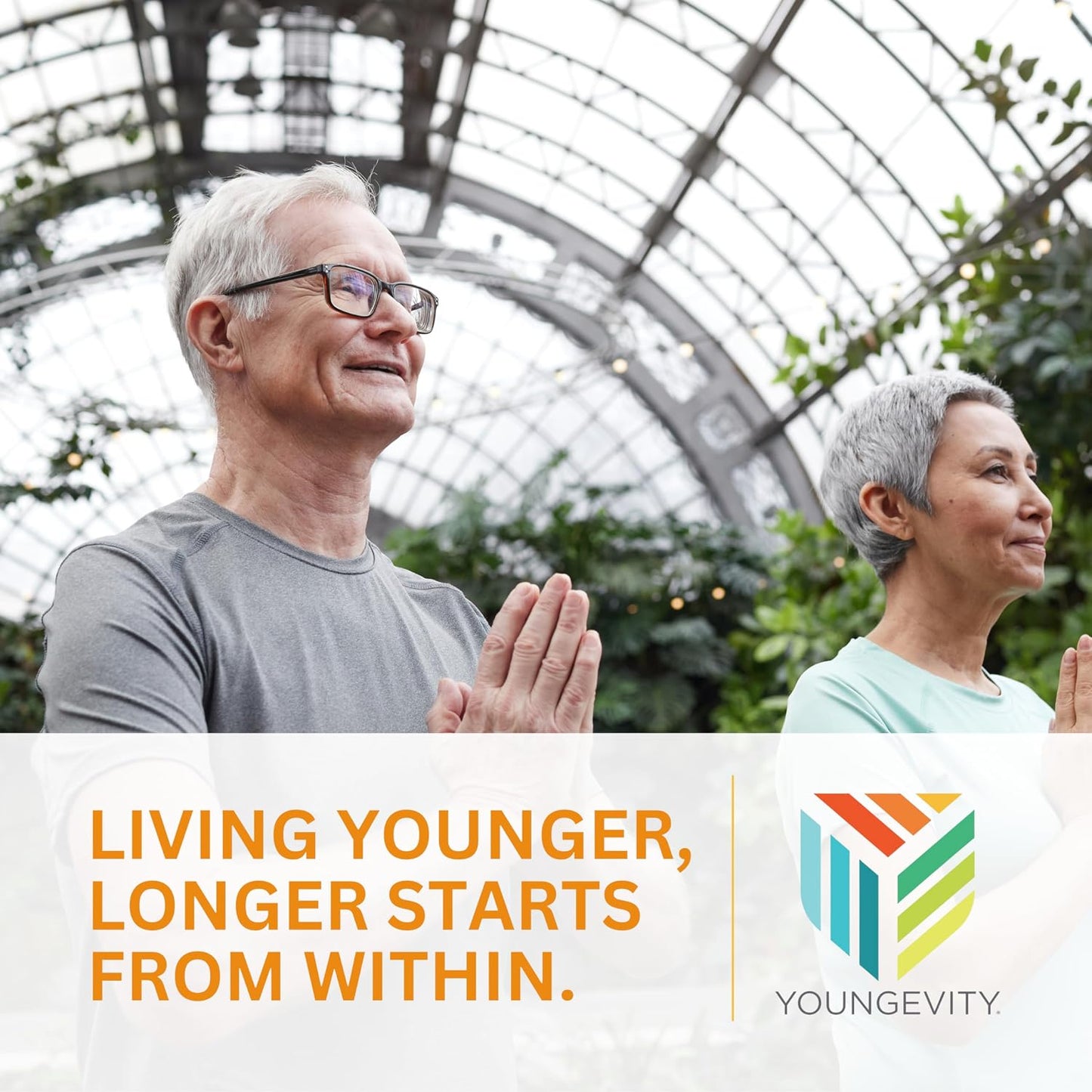 Youngevity Beyond Tangy Tangerine 2.0 Citrus Peach Fusion Multivitamin & Mineral Complex (6-Pack) - görsel 7