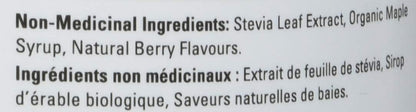 PROGRESSIVE Blueberry Medley Vegegreens, 265 g