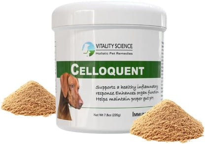 Vitality Science Celloquent for Dogs – Natural Immune & Digestive Support (220g)
