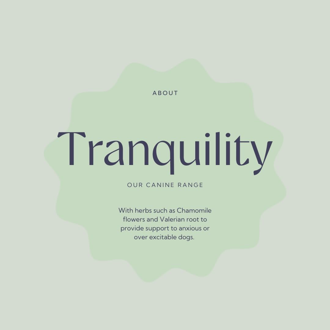 Hilton Herbs Canine Tranquillity Supplement for Anxiety, Nerves, and Stress in Dogs, 125 g Tub - görsel 3