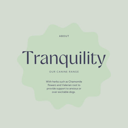 Hilton Herbs Canine Tranquillity Supplement for Anxiety, Nerves, and Stress in Dogs, 125 g Tub