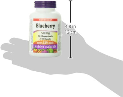 Webber Naturals Blueberry 36:1 Concentrate Capsules, 500mg, 120 Capsules
