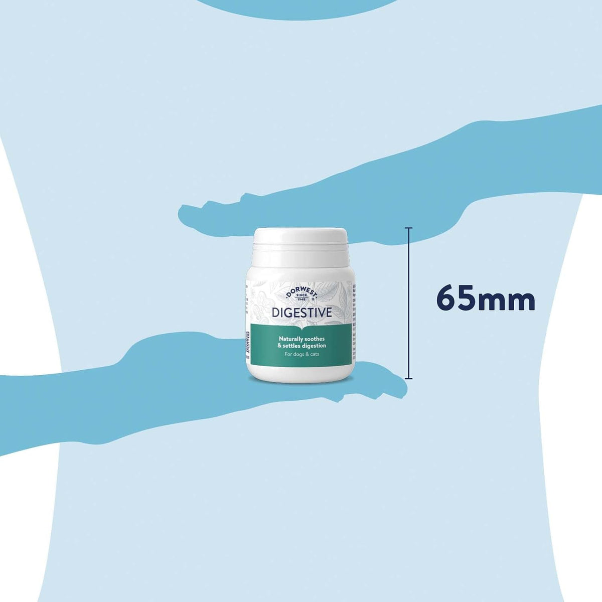 Digestive Aid Tablets for Dogs & Cats by Dorwest - görsel 5