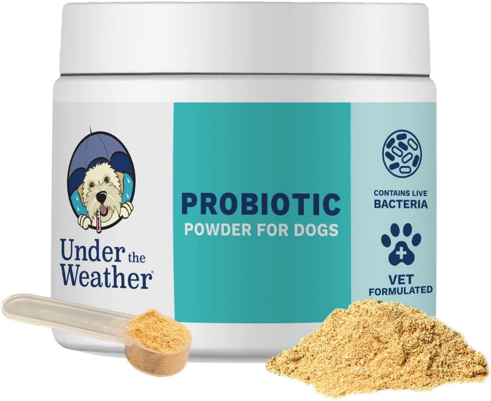 Under The Weather Pet Probiotic Powder for Dogs – Vet-Formulated Digestive Supplement with Beneficial Bacteria, 120 Servings - görsel 1