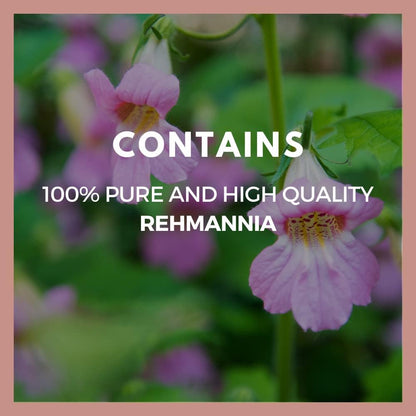 Rehmannia Root - 1,000 mg, 60 Vegan Capsules Herbal Food Supplement - 2 Month Supply
