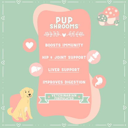 Pup Shrooms Mushroom Complex Soft Chews for Dogs – Lion's Mane, Turkey Tail, Shiitake – EPA, DHA, Turmeric & Organic Kelp – 160 Chews