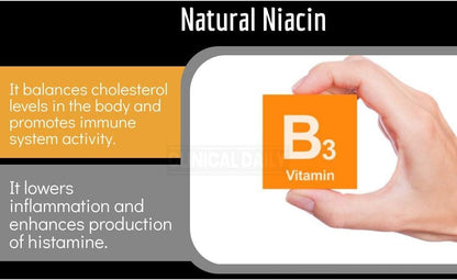 Clinical Daily Blood Circulation Supplement – Butcher's Broom, Horse Chestnut, Cayenne, L-Arginine, Diosmin – 90 Capsules