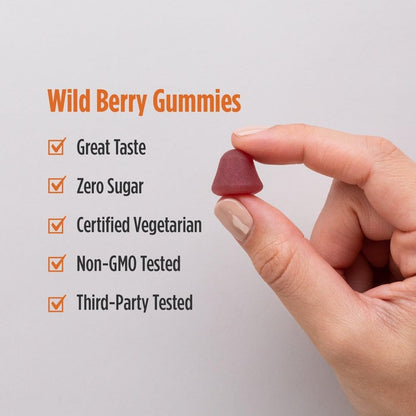 Nordic Naturals Zero Sugar Vitamin D3 Gummies, Wild Berry – 1000 IU – 60 Gummies
