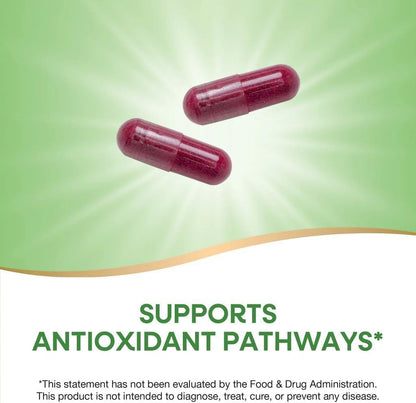 Beetroot 100C (2 Pack)