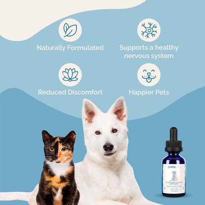 PranaPets Nervous System Support for Dogs and Cats – Herbal Formula, 2 Pack