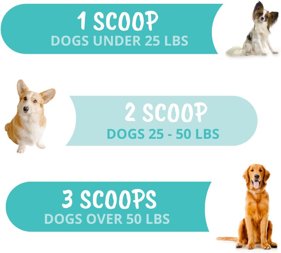 Under The Weather Pet Probiotic Powder for Dogs – Vet-Formulated Digestive Supplement with Beneficial Bacteria, 120 Servings - görsel 3
