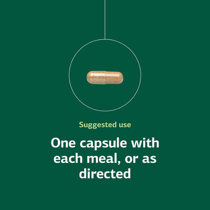 Standard Process Orchex - Nervous System Support with Niacin and Vitamin B6 - 90 Capsules