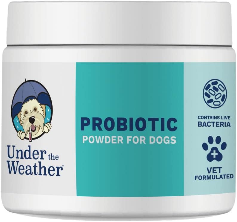 Under The Weather Pet Probiotic Powder for Dogs – Vet-Formulated Digestive Supplement with Beneficial Bacteria, 120 Servings - görsel 7