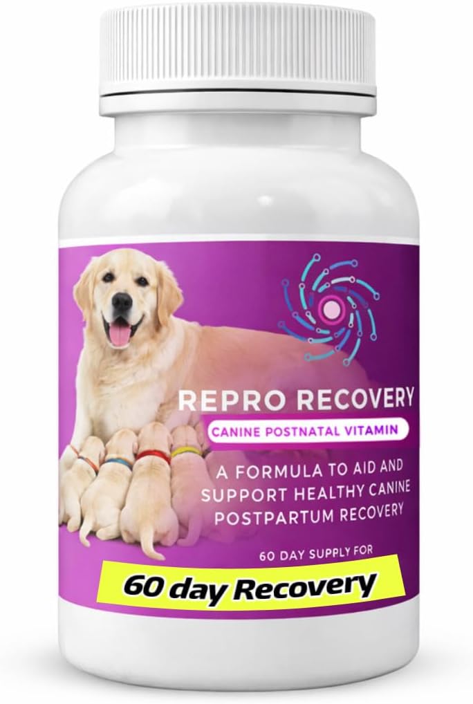 ReproNatal™ Canine Postnatal and Postpartum Vitamin Capsules (60-Day Supply) - görsel 1
