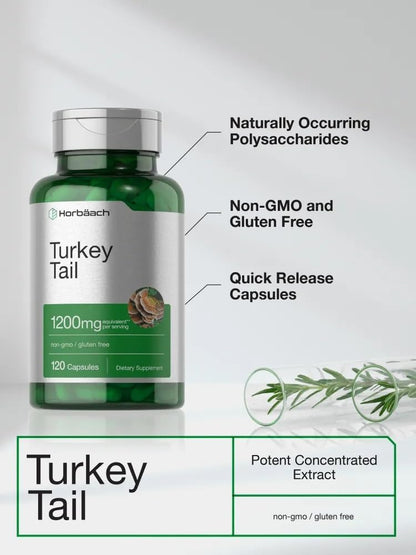 Horbäach Turkey Tail Mushroom Capsules | 120 Capsules | Non-GMO & Gluten-free Extract