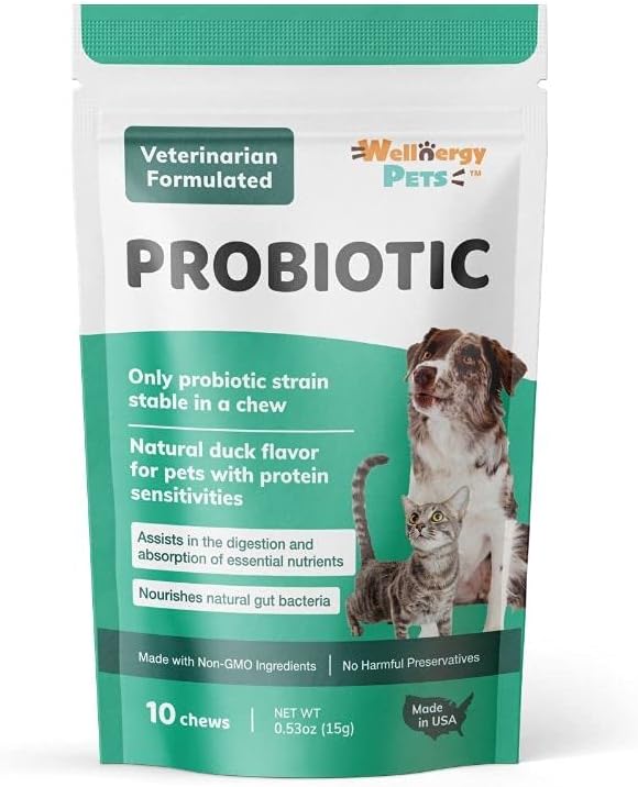 Wellnergy Daily Probiotic & Prebiotics Soft Chew for Dogs and Cats (60 Chews) - görsel 2