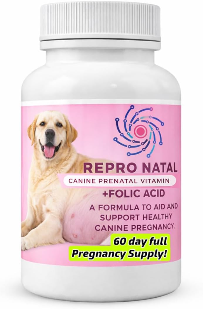 ReproNatal™ Canine Postnatal and Postpartum Vitamin Capsules (60-Day Supply) - görsel 9
