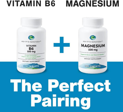 Earth's Splendor Vitamin B6 100mg, 250 Tablets – Energy & Metabolism Support