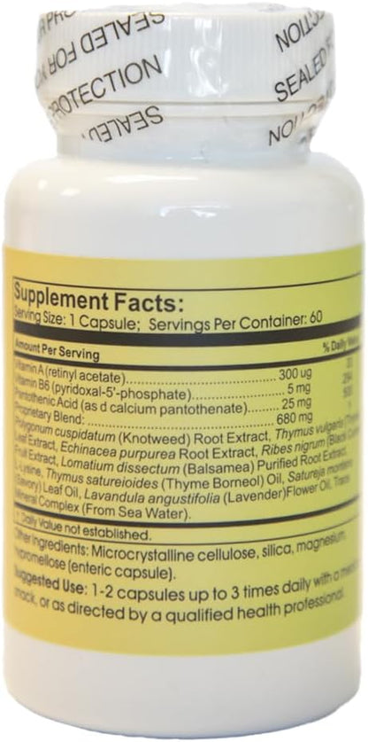 Time Laboratories PhytoBiotic Capsules – Synergistic Herbal Blend for Immune Support (60 Capsules)