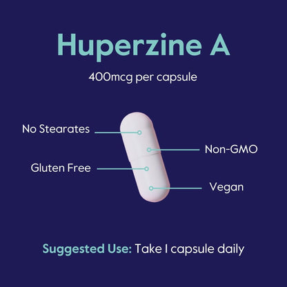 BESTVITE Huperzine A 400mcg (120 Vegetarian Capsules) – No Stearates – Vegan – Non-GMO – Gluten-free
