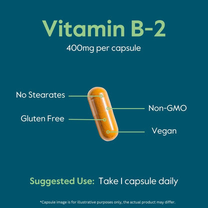 BESTVITE Vitamin B-2 (Riboflavin) 400 mg – 120 Vegetarian Capsules – High Potency – Energy, Skin & Nervous System Support – Vegan – Non-GMO – Gluten-Free – No Stearates