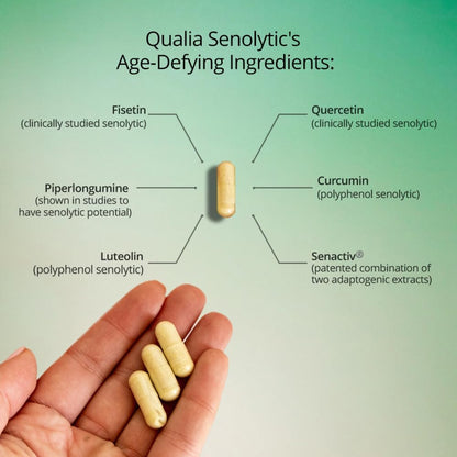 Qualia Senolytic Supplement – Fisetin, Quercetin, Piperlongumin – 1 Month's Supply