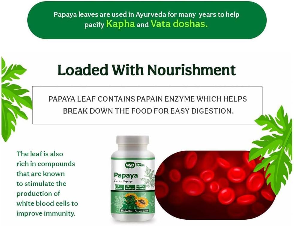 Papaya Leaf Extract Tablets 1000mg – 300 Tablets – Immune & Digestive Support - görsel 9