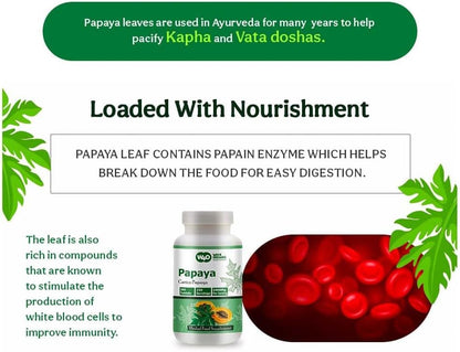 Papaya Leaf Extract Tablets 1000mg – 300 Tablets – Immune & Digestive Support