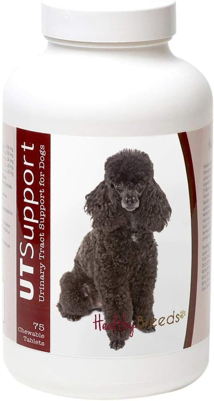 Healthy Breeds Field Spaniel Cranberry Chewables – Urinary Tract Support (75 Count)