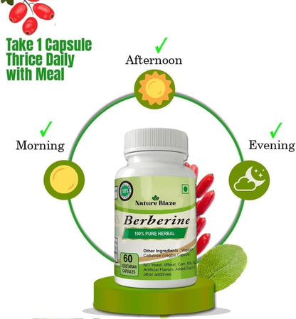 Organic Herbs Ayurvedic Berberine (60 Capsules)