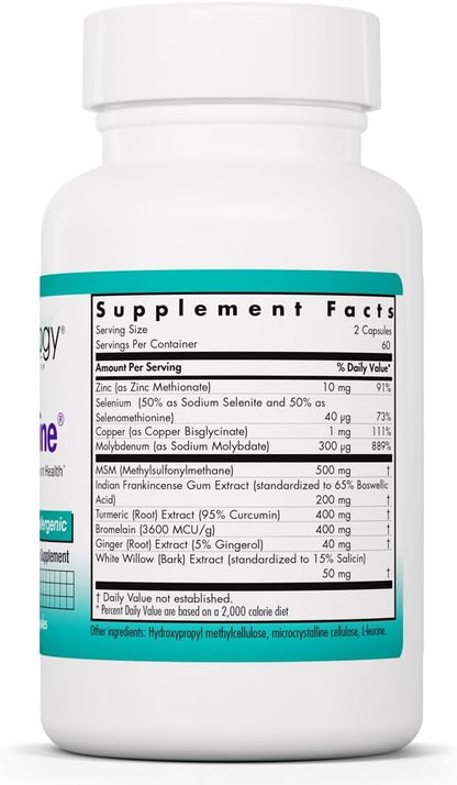 Nutricology Enzocaine - Proteolytic Enzyme Food Supplement for Connective Tissue & Structural Support - 120 Capsules