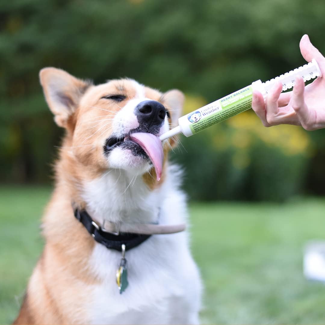 Under the Weather Ready Balance Probiotic & Prebiotic Gel for Dogs - görsel 5