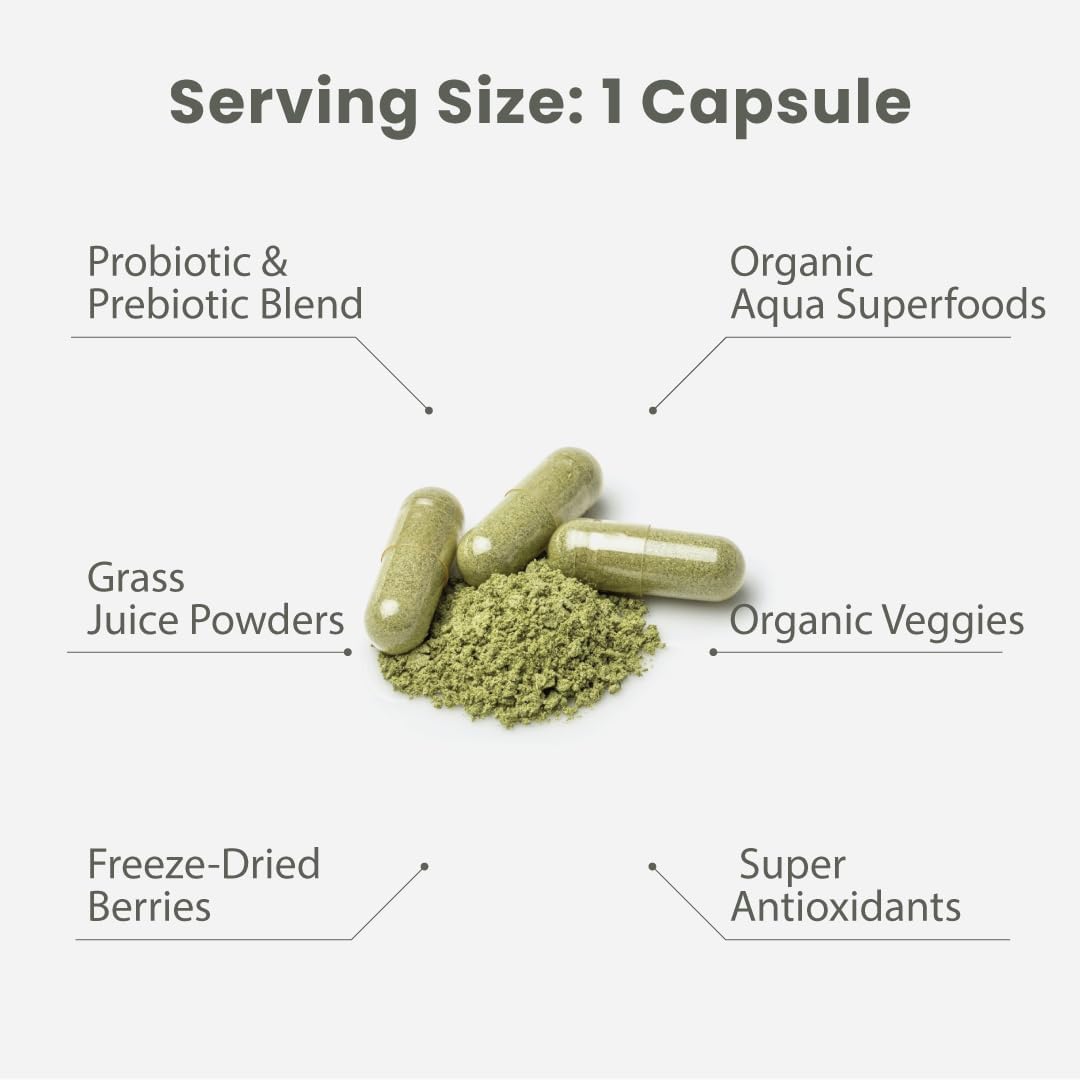 Paradise Herbs Earth's Blend Once Daily Multivitamin - No Iron, 48 Organic Superfoods, Probiotics, 60 Capsules - görsel 9